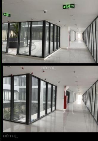 Công ty em cho thuê văn phòng Hà Đông DT 100m2 - 500m2 - 1000m2 14278466