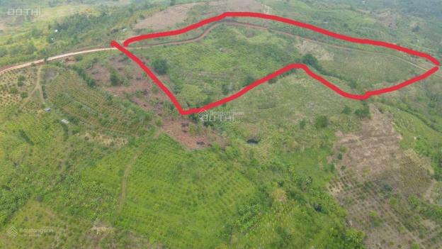 Siêu hiếm 2,7 ha mặt tiền vip 380m2 3,2 tỷ đường bê tông ở Đăk Mil, Đăk Nông 14279680