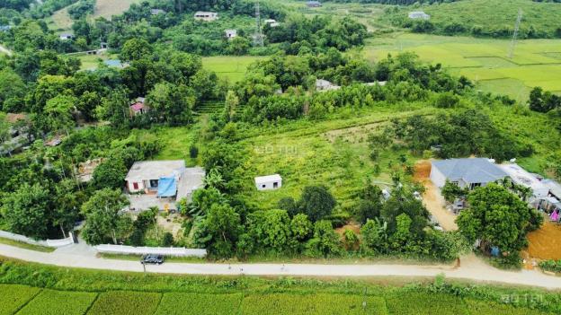 Bán 2000m2 siêu đẹp view cánh đồng tại Liên Sơn, Lương Sơn, Hòa Bình 14280006
