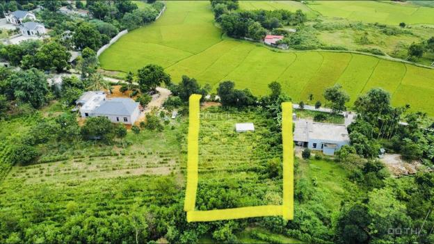 Bán 2000m2 siêu đẹp view cánh đồng tại Liên Sơn, Lương Sơn, Hòa Bình 14280006