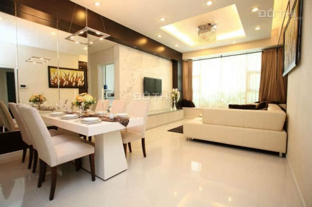 Chuyên bán căn hộ cao cấp Grand View Phú Mỹ Hưng, Q7 giá tốt nhất để đầu tư 14214952