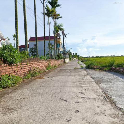 Bán đất tại đường 361, Phường Bàng La, Đồ Sơn, Hải Phòng diện tích 356,5m2 14293455