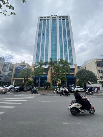 Nhà mới tinh 6 tầng*35m2, MT 4,8m phố Cát Linh, 20m ra mặt phố, full nội thất, chỉ 5,6 tỷ 14300843