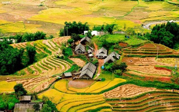 Chính chủ bán mảnh đất hơn 6000m2 tại xã Tả Phìn, Thị Xã Sapa Lào Cai, giá bán hơn 3 tỷ 14309659