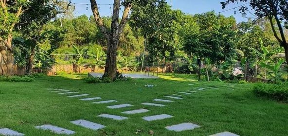 Biệt thự nhà vườn Yên Bình - khu cnc Hoà Lạc giá rẻ 5 tỷ 14311677