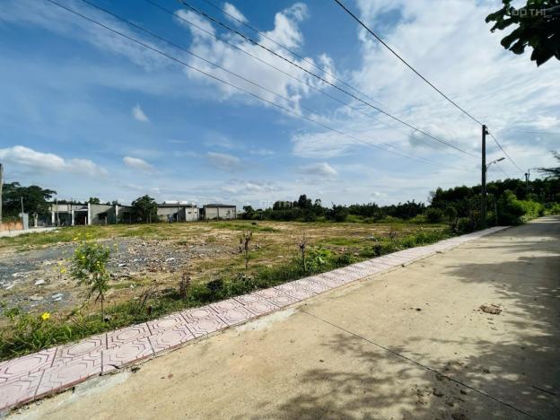 Bán đất nền KDC Bình Lợi Vĩnh Cửu 100m2, sẵn sổ hồng giá 1,25 tỷ 14314803