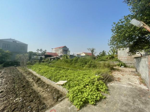 Bán 3 lô liền kề thôn 5 - Bắc Sơn - An Dương - Hải Phòng giá chỉ hơn 700 triệu 14316192