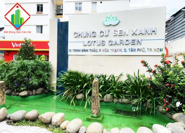Cho thuê căn hộ Lotus Garden - Trịnh Đình Thảo, DT 78m2, 3 PN, đủ nội thất 11.5tr/th 0903154701 14321314