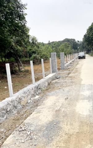 Bán đất hợp làm khu nghỉ dưỡng giáp sân golf Skylake. quà tặng 3 cây vàng 9999 14324582