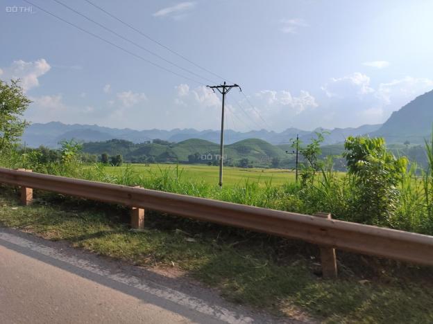 Bán đất tại đường Quốc lộ 6, Xã Chiềng Chung, Mai Sơn, Sơn La diện tích 7000m2 giá 13 tỷ 14324861