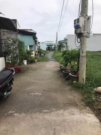 Vỡ nợ ngân hàng bán gấp nền đất khu dân cư Phúc Giang - ngay KCN Thuận Đạo - Bến Lức 100m2 14330538