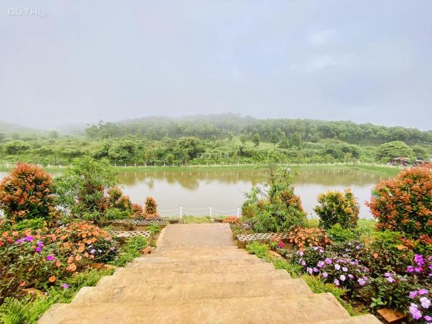 Bán lô đất biệt thự vườn view hồ Tâm Châu siêu đẹp yên tĩnh 14332617