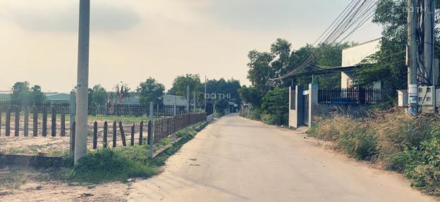 Bán đất đường Phan Đăng Lưu, Phường Long Bình, Biên Hòa, diện tích 100m2 giá 280tr 14334811