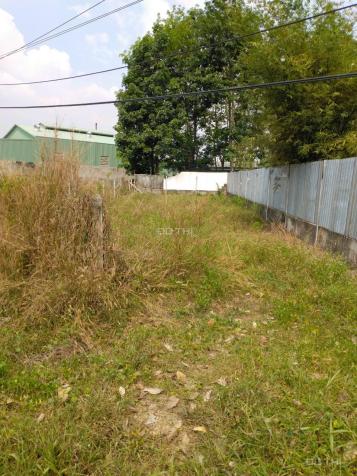 Đất mặt tiền Trần Thị Tuồng xã Phú Hòa Đông Củ Chi 14339801