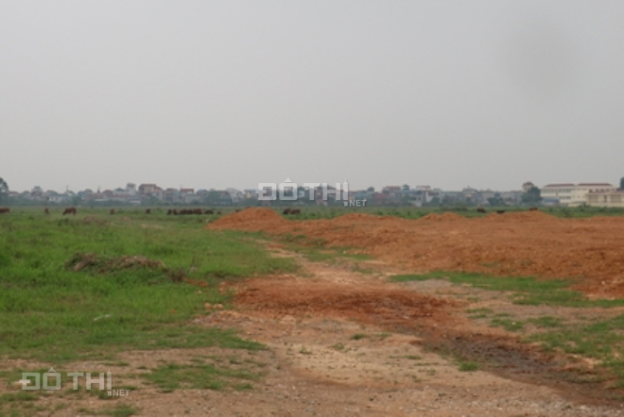 Bán đất kho xưởng gần Quốc Lộ 1a, H. Thăng Bình, T. Quảng Nam, 8.000m2 14341112