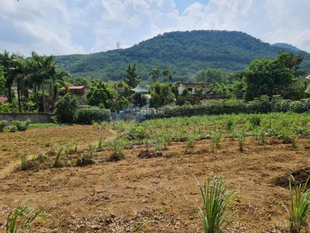 Chính chủ bán đất tại Lương Sơn, Hòa Bình, hợp làm khu du lịch sinh thái, xưởng sản xuất chỉ 3tr/m2 14341146