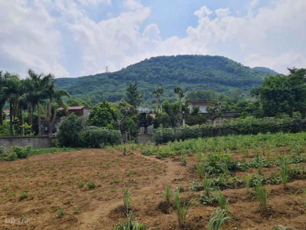 Chính chủ bán đất tại Lương Sơn, Hòa Bình, hợp làm khu du lịch sinh thái, xưởng sản xuất chỉ 3tr/m2 14341146