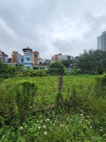 Bán đất Khuyến Lương: 288m2, ô tô tránh, MT 19m 4,5 tỷ 14342526