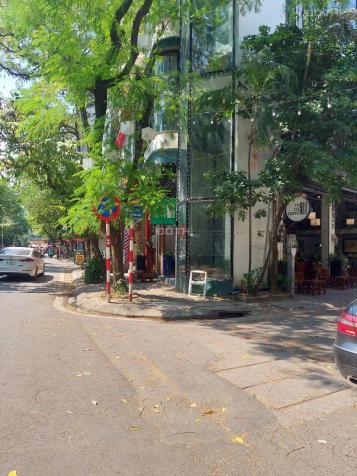 Bán chung cư mini phố Quan Hoa Cầu Giấy - Hà Nội rẻ hơn thị trường 1 tỷ Dt 81m2 7 tầng mt 6,5m 14350581