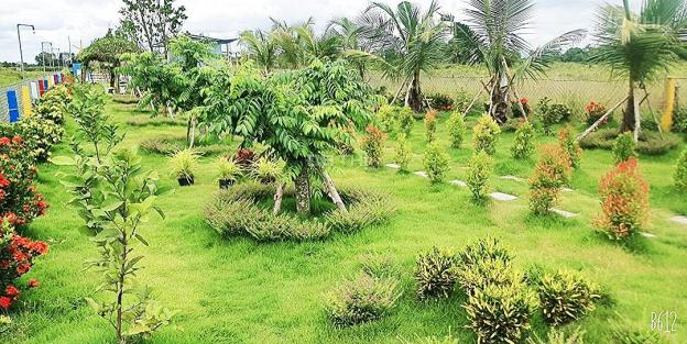 Bán gấp nhà vườn nghỉ dưỡng đẹp mộng mơ, Tân Thành, Thủ Thừa, Long An. 1000m2 giá ngộp 1.9 tỷ TL 14351636