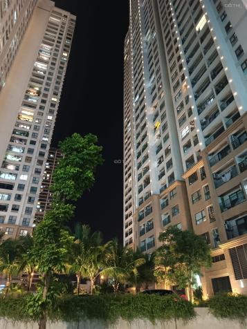 Cần bán căn hộ chung cư cao cấp D'Capitale 110 Trần Duy Hưng 39m2 giá 1.95 tỷ 14354264