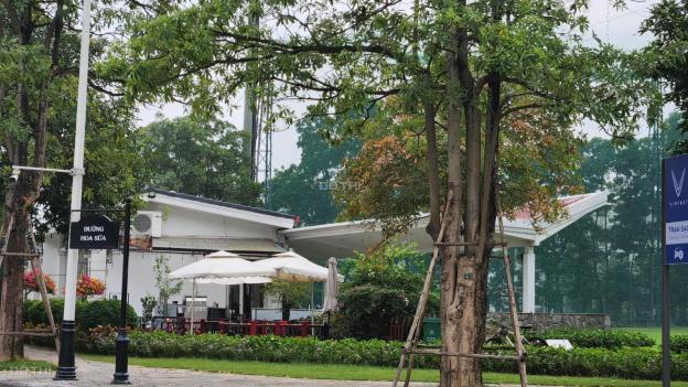 Bán nhà biệt thự, liền kề tại đường Hoa Sữa 6, Phường Phúc Lợi, Long Biên, Hà Nội diện tích 260m2 14347857