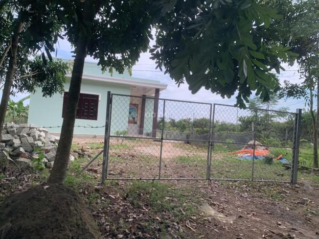 Chính chủ bán lô đất ruộng 1200m2 Xuân Hiệp Lăng Minh 14358305