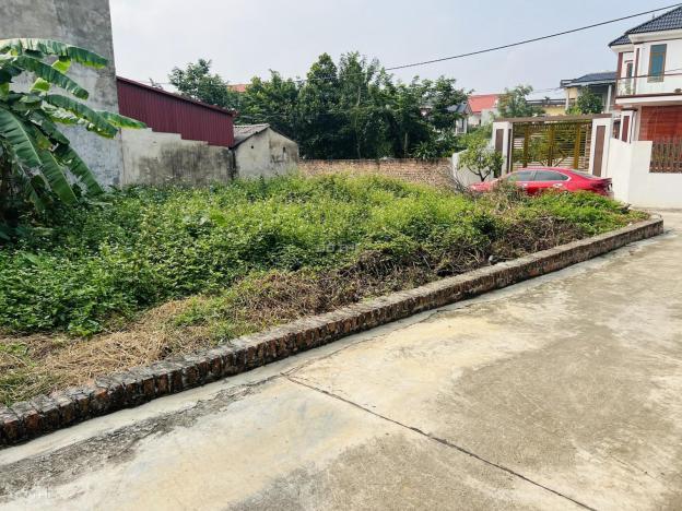 Bán đất tại đường Quốc Lộ 3, Xã Tân Minh, Sóc Sơn, Hà Nội diện tích 206m2 giá 9,5 triệu/m2 14367085