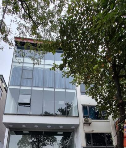 Bán tòa nhà mặt phố Nguyễn Ngọc Nại, Thanh Xuân, kinh doanh dòng tiền ổn định, chỉ nhỉnh 300 tr/m2 14370061