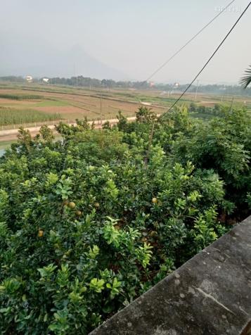 Chính chủ bán đất vị trí đẹp để xây nghỉ dưỡng tại Tu Vũ - Thanh Thuỷ - Phú Thọ 14373448