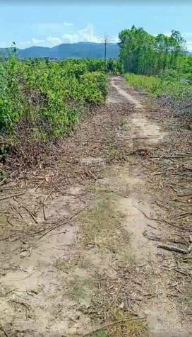 Mở bán 8 lô đất thuộc huyện M'Đrắk, tỉnh Đắk Lắk giá đầu tư chỉ 160tr/lô 2000m2 LH 0906359868 14379474