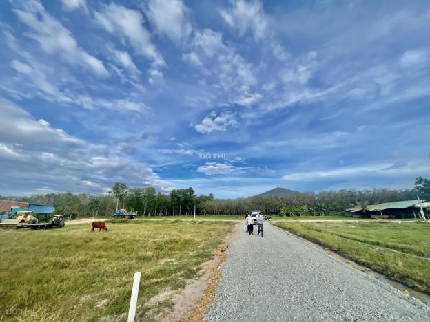 Bán đất tại đường Trần Văn Trà, Xã Tân Bình, Tây Ninh, Tây Ninh diện tích 137m2 giá 490 triệu 14382515