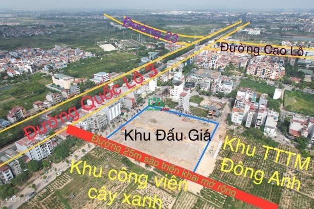 Đất đấu giá Vườn Đào Đông Anh 3ha kinh doanh - X7 Uy Nỗ 14342631