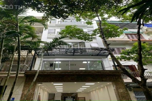 Apartment 10T vip phố Đào Tấn, Ba Đình 45 tỷ 170m2. Tổng 31 căn hộ, doanh thu 300 triệu/tháng 14384881