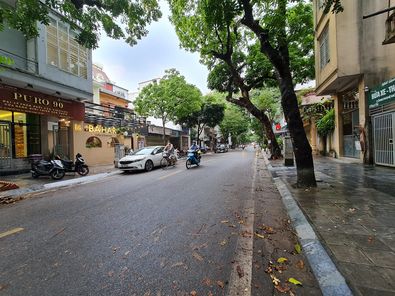 (Hiếm) bán siêu phẩm mặt phố Nguyễn Huy Tự, kinh doanh - xây VP, 260m2, mặt tiền 15m, 75 tỷ 14384974