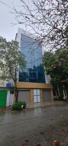 Bán tòa building phố Tôn Đức Thắng, phường Đông Thành, TP Ninh Bình 14394564