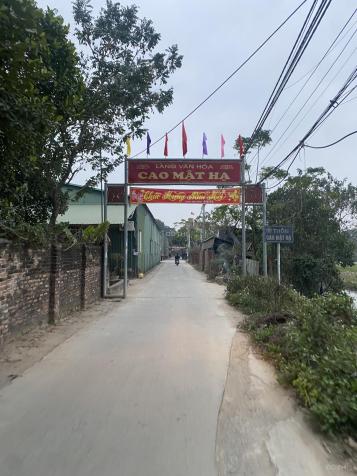 Cần bán70 m2 đất Cao Mật Hạ-Thanh Oai,giá thoả thuận 14400179