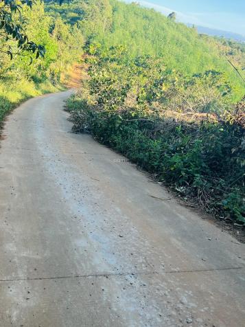 CHÍNH CHỦ BÁN 2 LÔ ĐẤT MT GIÁ SIÊU RẺ TT Huyện Đắk R’Lấp 14410052