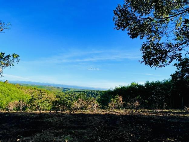 CHÍNH CHỦ BÁN 2 LÔ ĐẤT MT GIÁ SIÊU RẺ TT Huyện Đắk R’Lấp 14410052