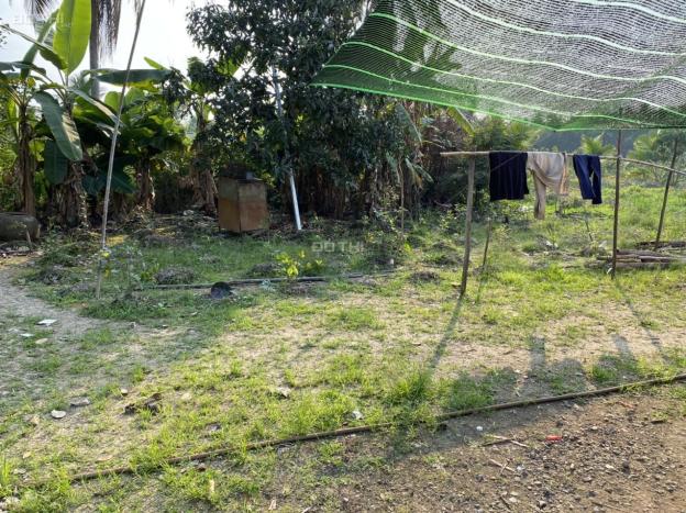 Cần Bán Gấp Đất Đức Hòa, thổ cư, 5*30 , gần ngã 3 Đức Hòa giá ngộp 14411285