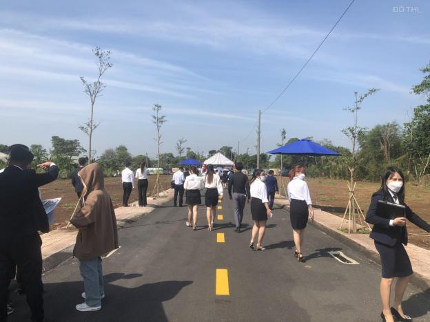 Bán đất nền dự án tại Đường D20, Xã Đông Hòa, Trảng Bom, Đồng Nai diện tích 100m2 giá 13000000 Triệ 14415062