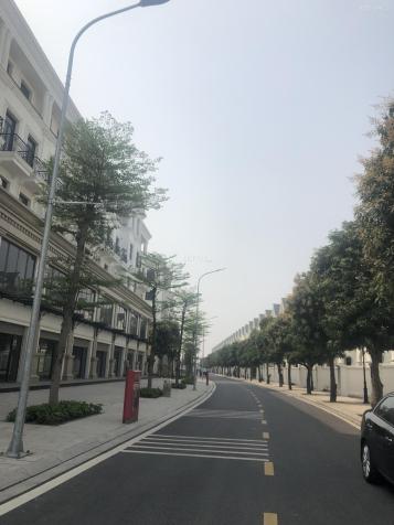 Cần bán nhanh căn biệt thự song lập Hải Âu 3 đối diện khu phố nhật dự án Vinhomes Ocean Park 14248666