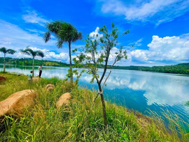 Đất đẹp view hồ Đak - Tik Gia Nghĩa, Đak - Nông, có 5 lô liền kề. Sổ riêng có sẵn bao sang tên! 14436109