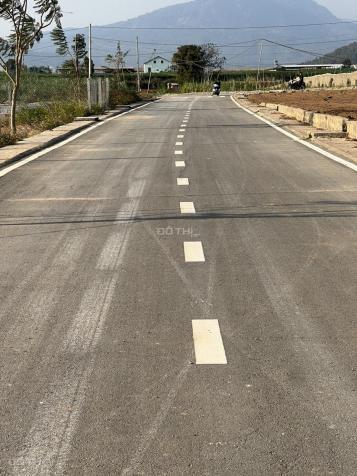 Bán đất tại Xã Hiệp Thạnh, Đức Trọng, Lâm Đồng diện tích 207m2 14440242