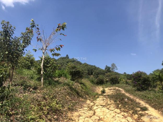 Bán 1.1 ha đất Thanh Sơn - Huyện Tân Phú giá ngộp view Hồ Đa Tôn 14453393