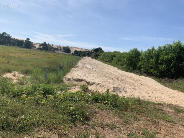 Bán 41x71m Hùng Vương - Tân Bình - TX Lagi giá rẻ 400tr/m ngang 14453997