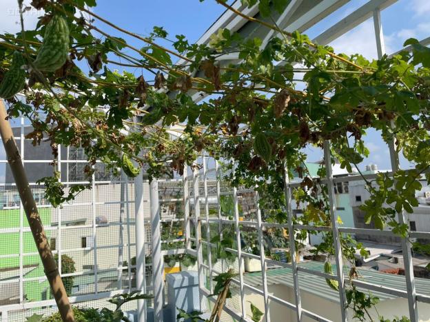 Bán nhà riêng tại đường Phạm Ngũ Lão, Phường 7, Gò Vấp, Hồ Chí Minh diện tích 51.2m2 14456235