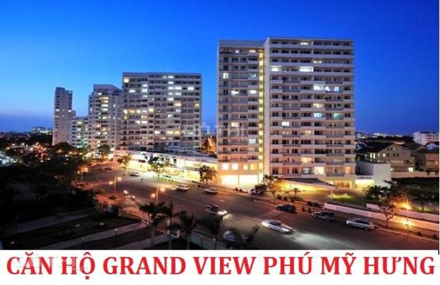 Bán căn hộ Grand View B Nguyễn Đức Cảnh Phú Mỹ Hưng Q7 nhà đẹp vào ở ngay 14456965