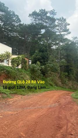 Đất Nghĩ Dưỡng, View Đẹp Chính Chủ Di Linh Gần 1,4Sào Giá Chỉ 500tr 14178920