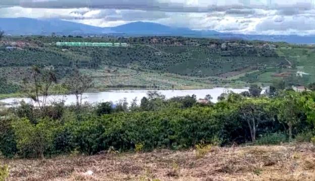 Chính Chủ Bán gấp 1.500m2 giá Sốc Lâm Hà gần Đà Lạt,14m đường bê tông, QH Thổ cư, KDC 14465242